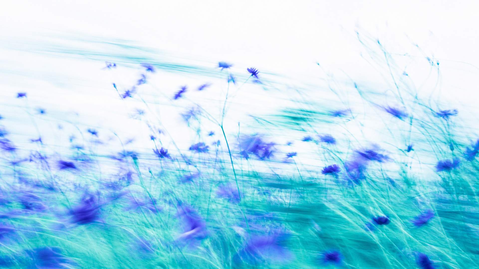 Dreamy high-key motion-blur wildflower meadow in indigo and teal