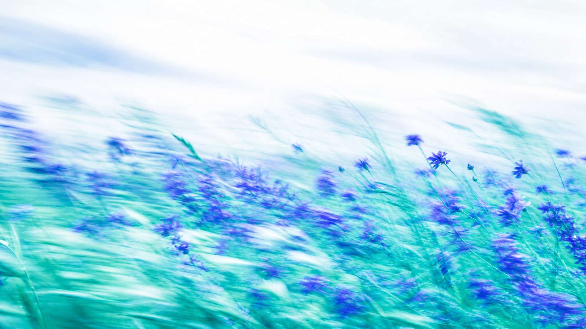 Dreamy high-key motion-blur wildflower meadow in indigo and teal