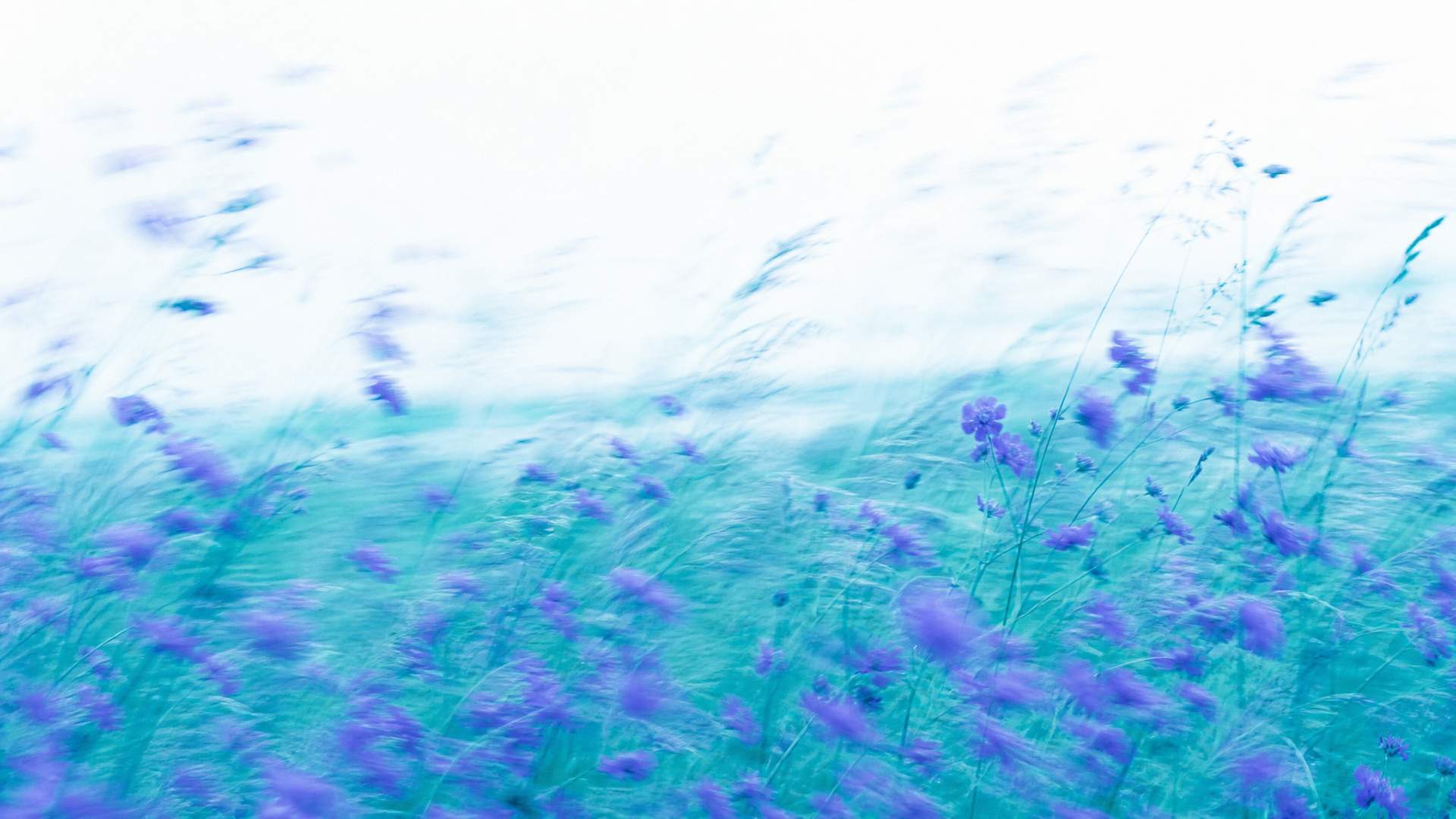 Dreamy high-key motion-blur wildflower meadow in indigo and teal