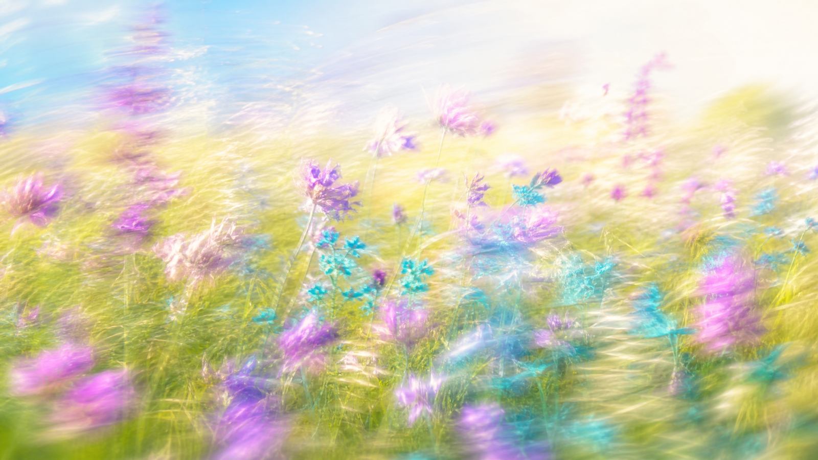 Dreamy high-key motion-blur wildflower meadow with purple and teal blooms