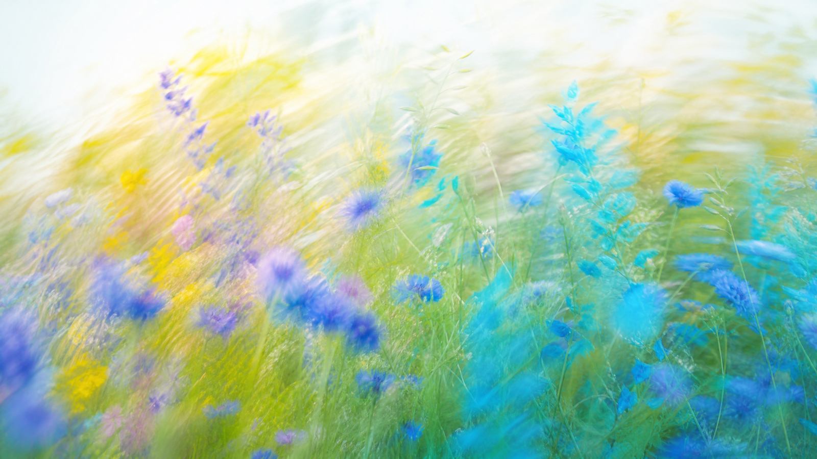 Dreamy high-key motion-blur wildflower meadow with indigo and teal blooms