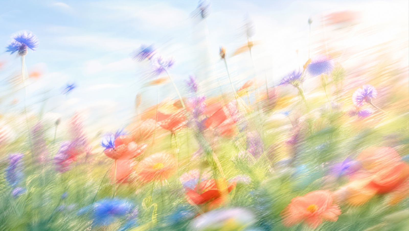 Dreamy high-key motion-blur wildflower meadow with indigo, teal and coral blooms