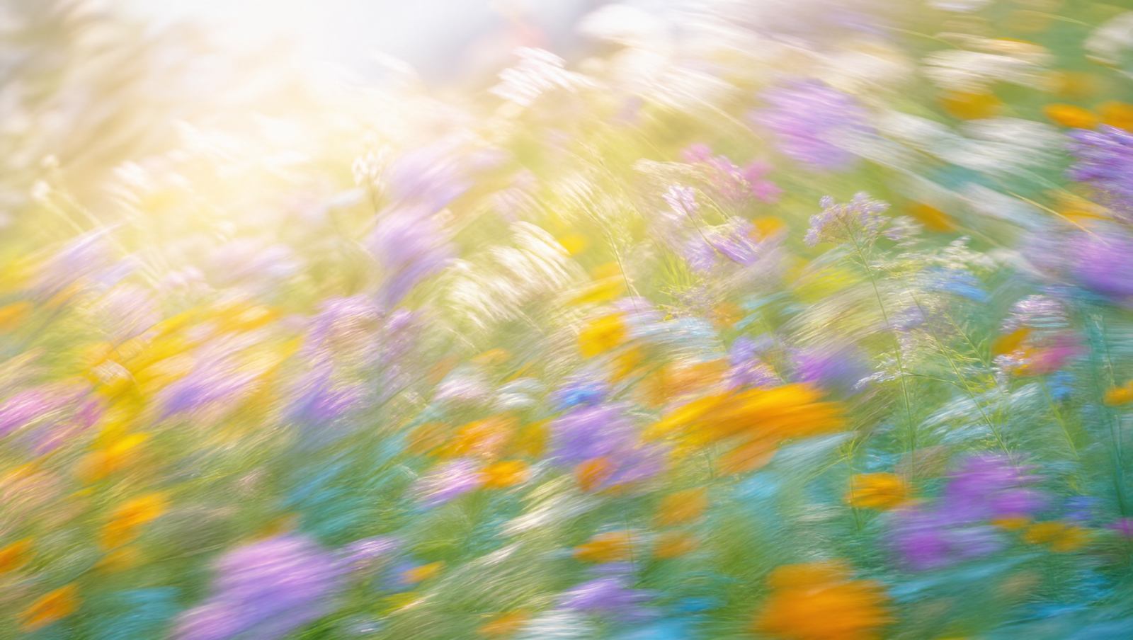 Dreamy high-key motion-blur wildflower meadow with violet, teal and amber blooms