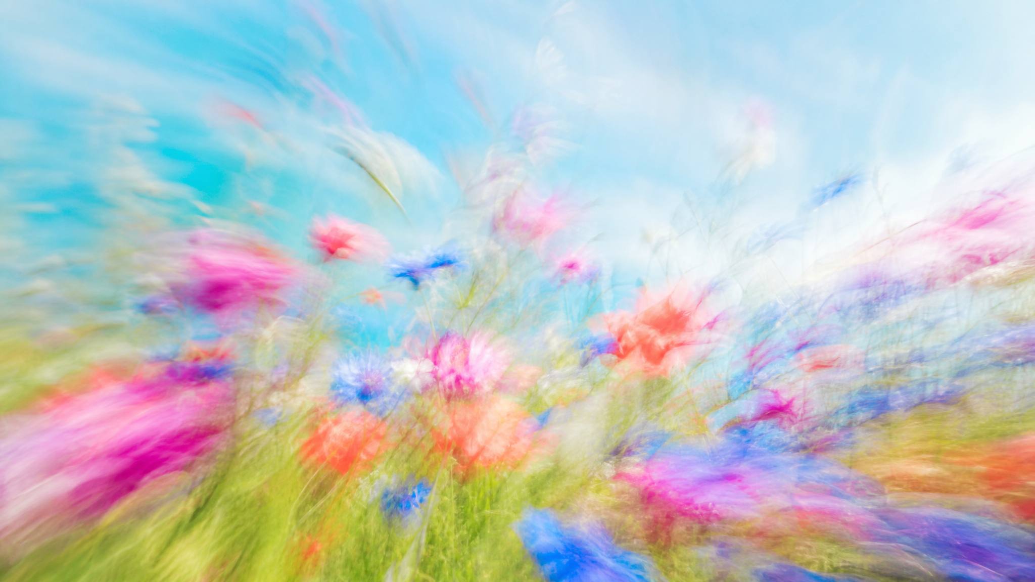 Bright airy impressionistic wildflower meadow in sky blue, teal and magenta, high-key light