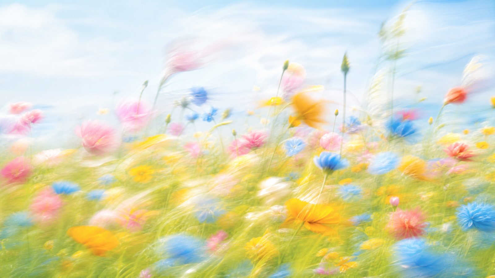 Bright impressionistic motion-blur wildflower meadow with soft rose, sky-blue and warm gold blooms in high-key light