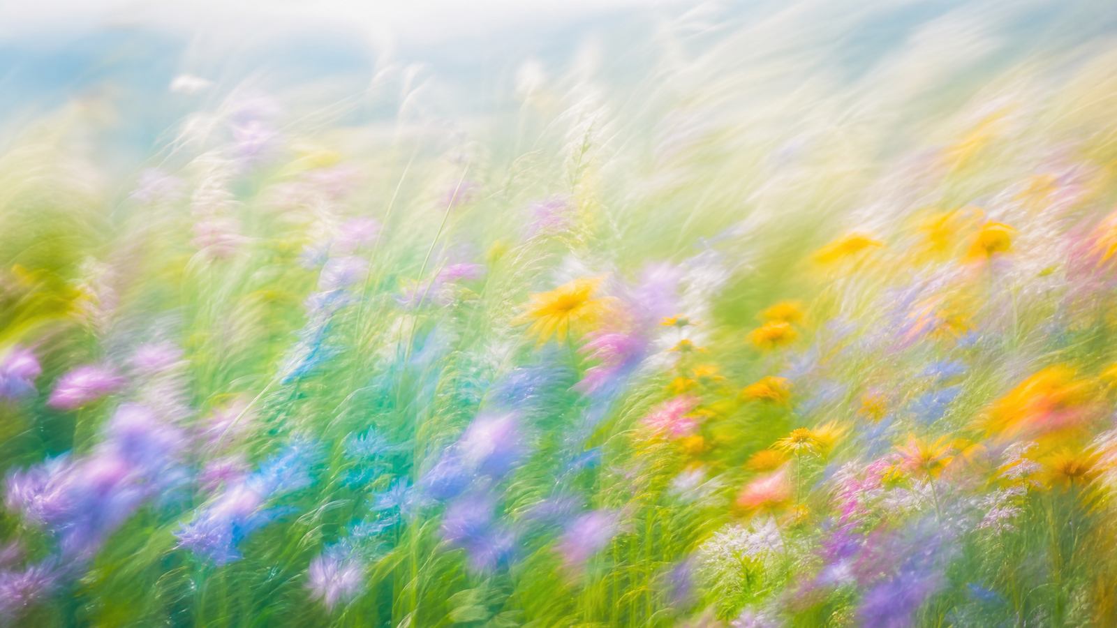 Dreamy high-key motion-blur wildflower meadow with violet, teal and warm amber blooms