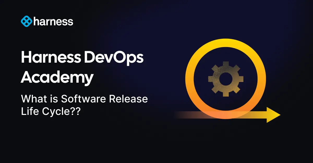 What is the Software Release Life Cycle?