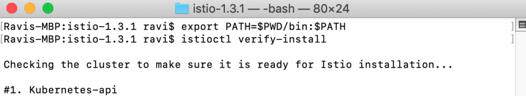 Istio Deployment - Istioctl Path