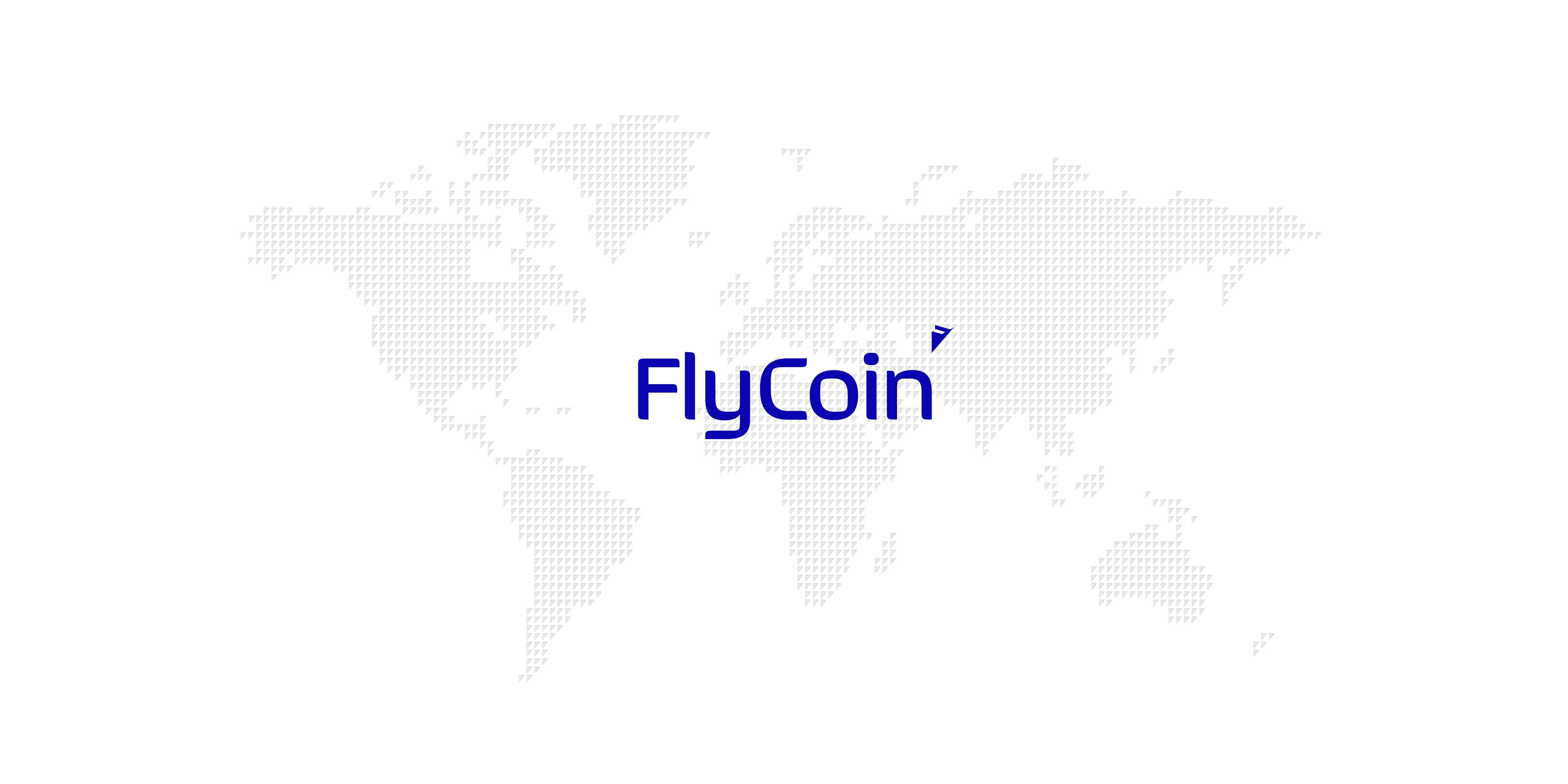 FlyCoin Map design with brand's Iconography design by Edmond Huot