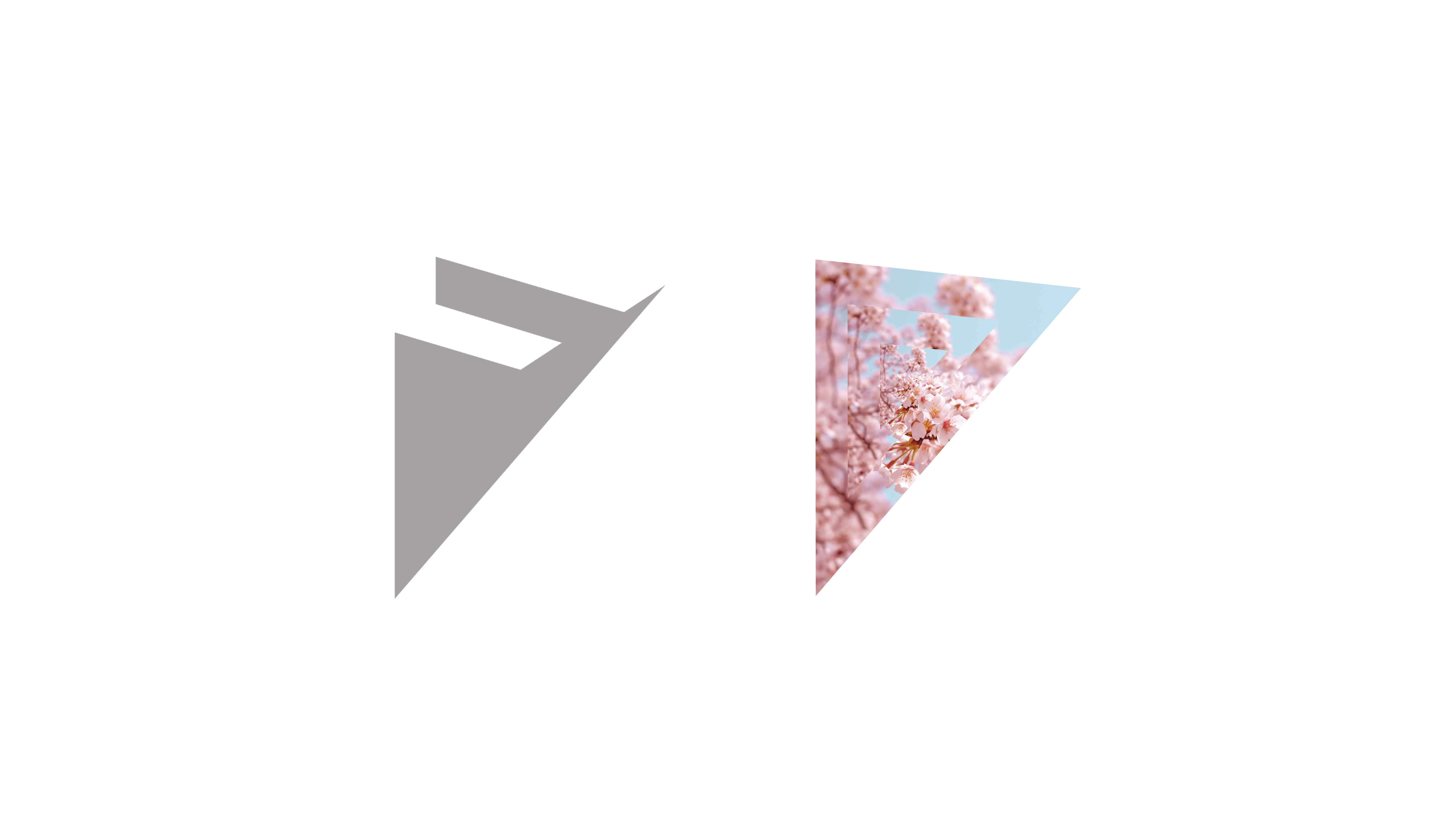 FlyCoin Icon with image of blossom three design by Edmond Huot