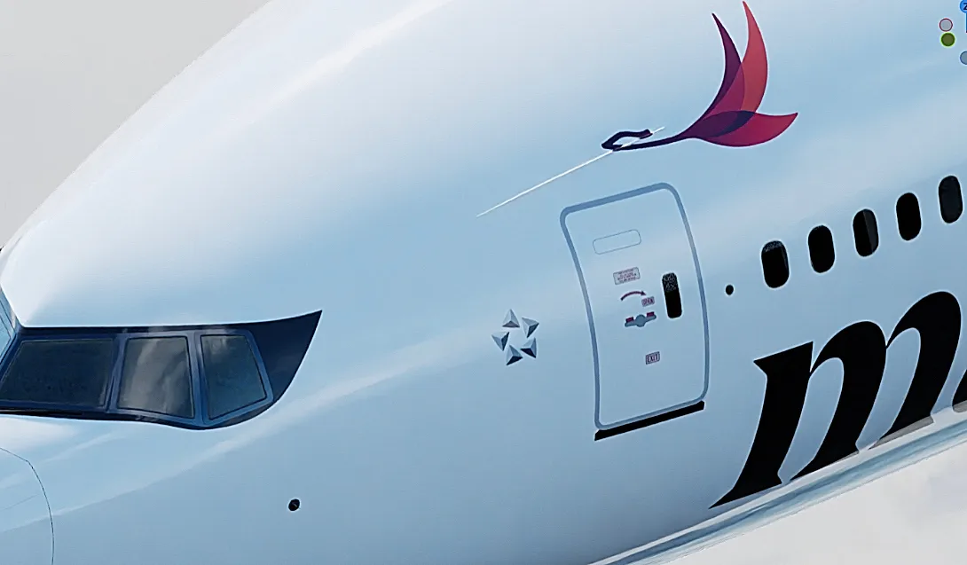 Maple angle view of the aircraft Boeing with maple's icon by Edmond Huot