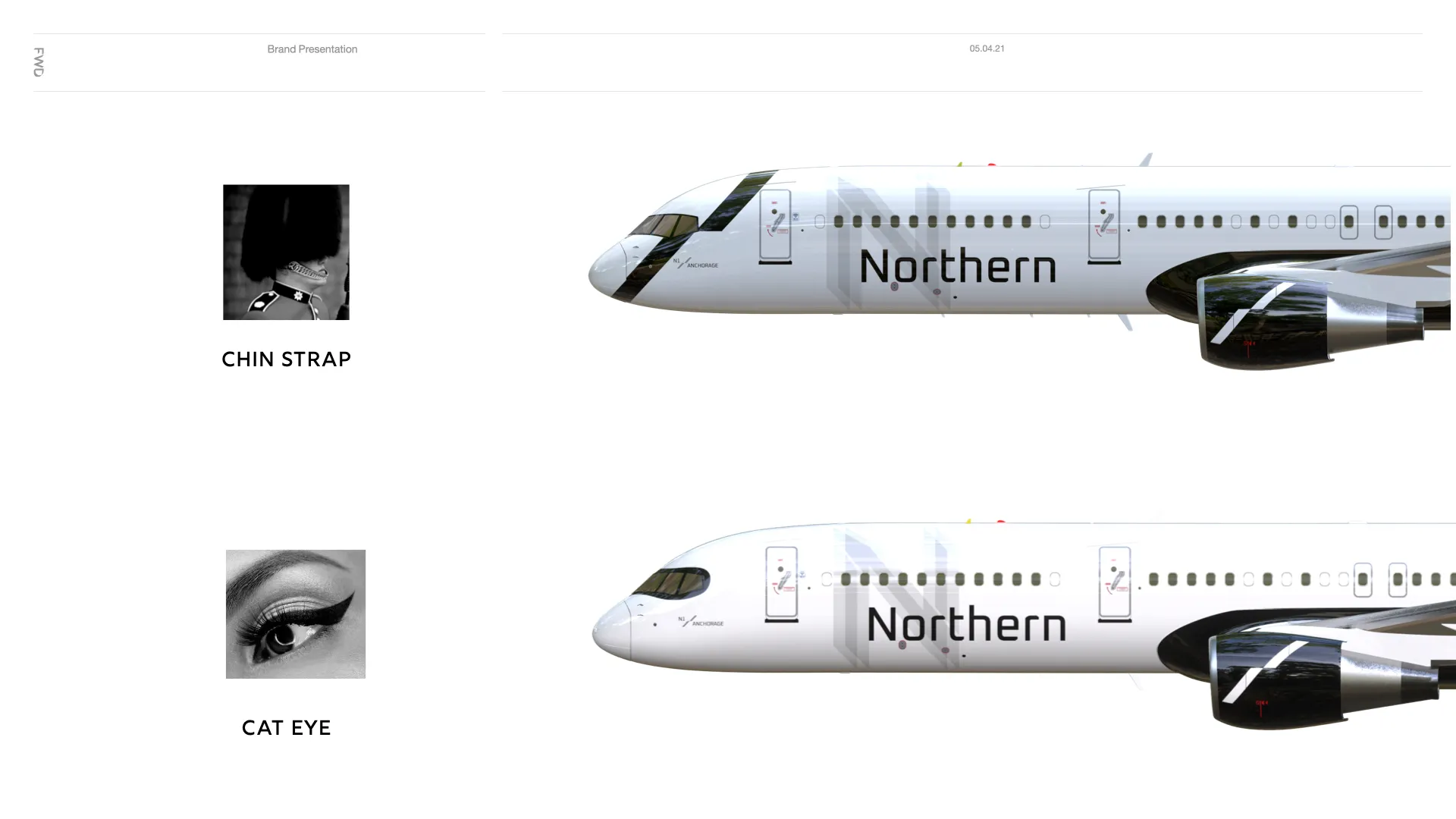 Northern Pacific Airways Aircraft Livery aviation design with various heads design by Edmond Huot