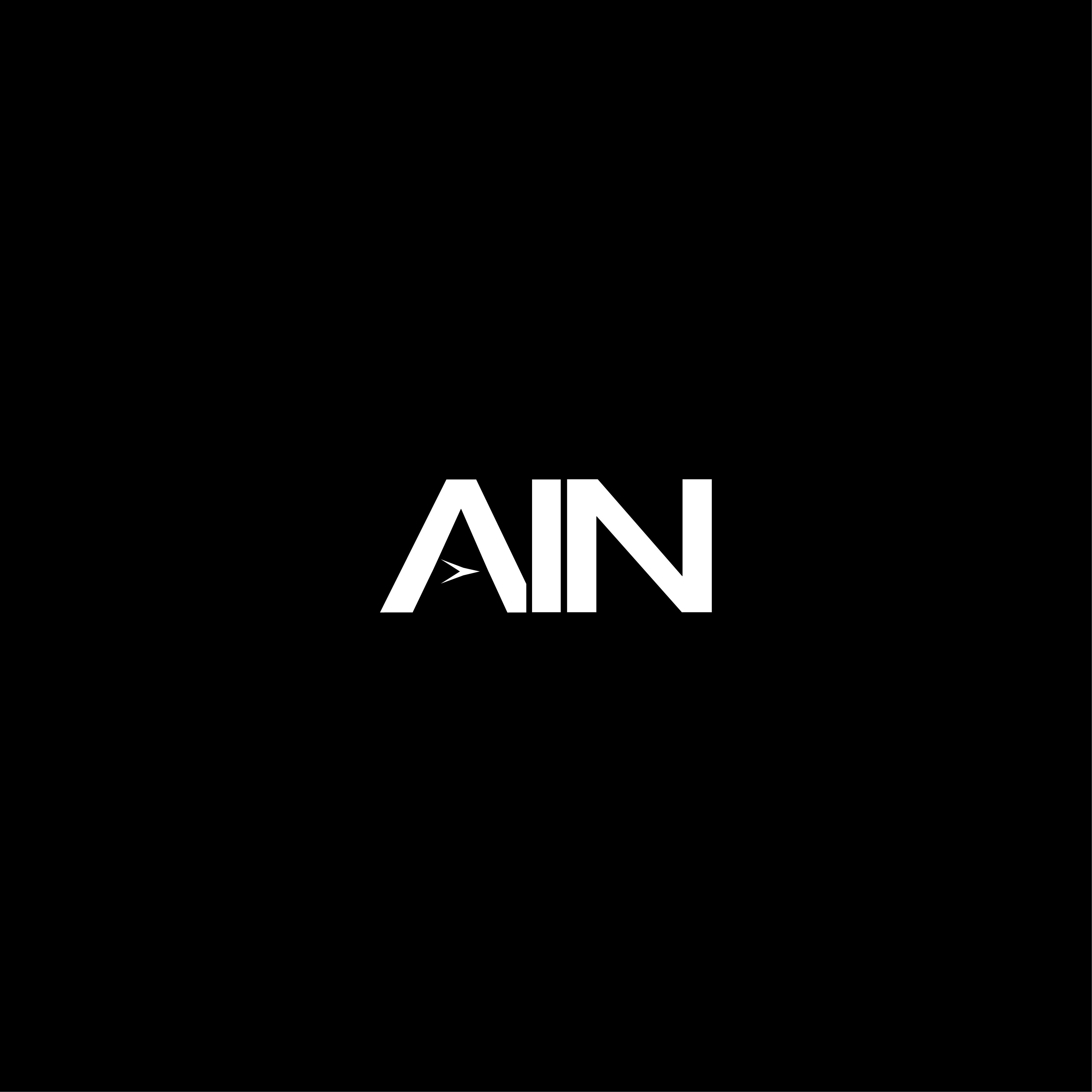 AIN Logo