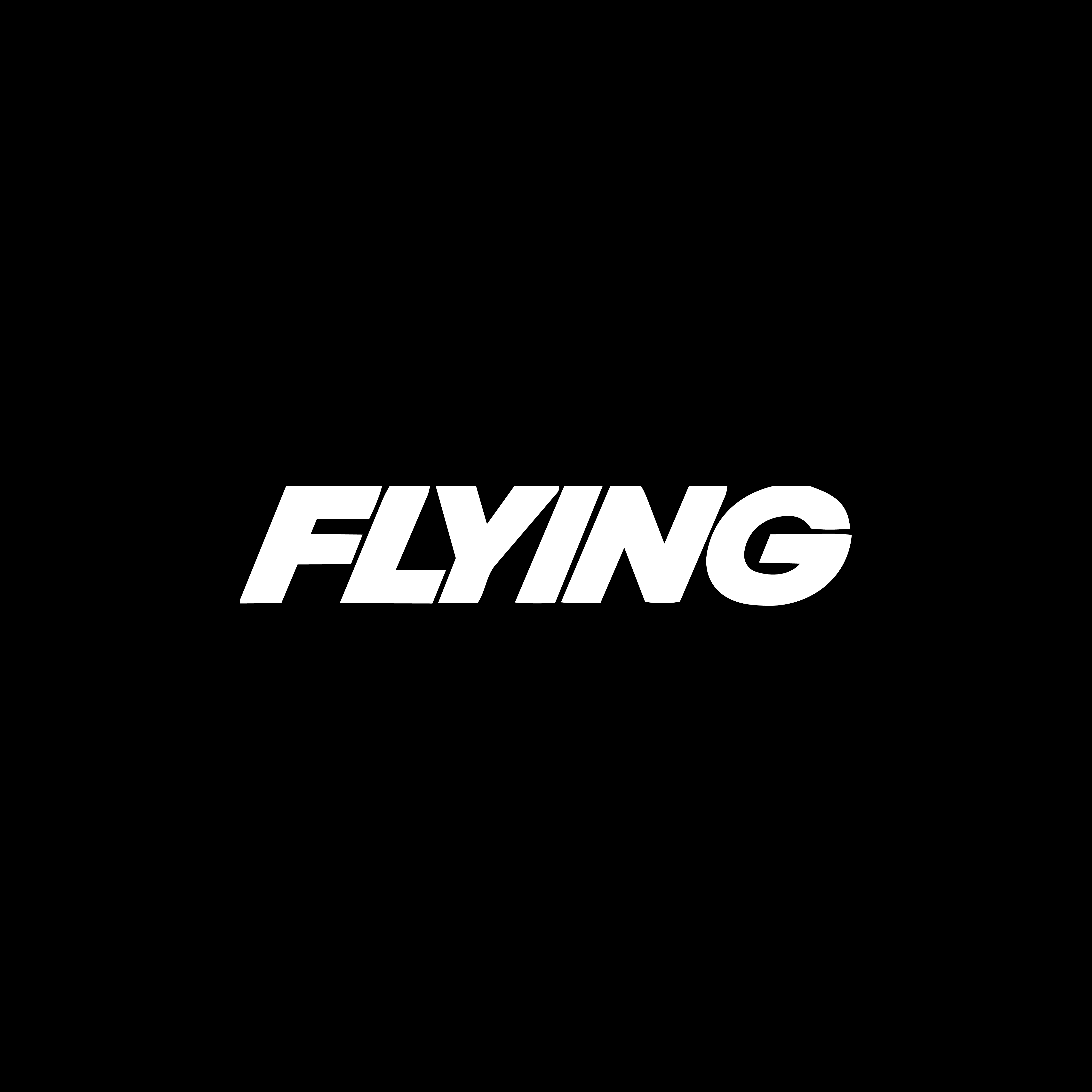 Flying Logo