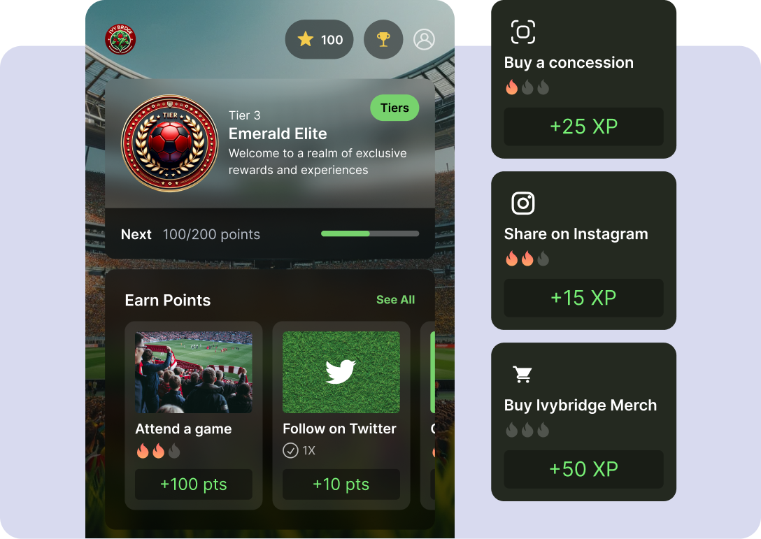 A rewards program for a sports team