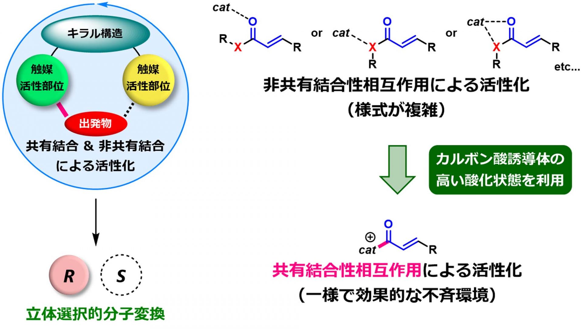 生体触媒を使う有機合成 硤合不斉自己触媒反応 Soai Asymmetric Autocatalysis | Chem