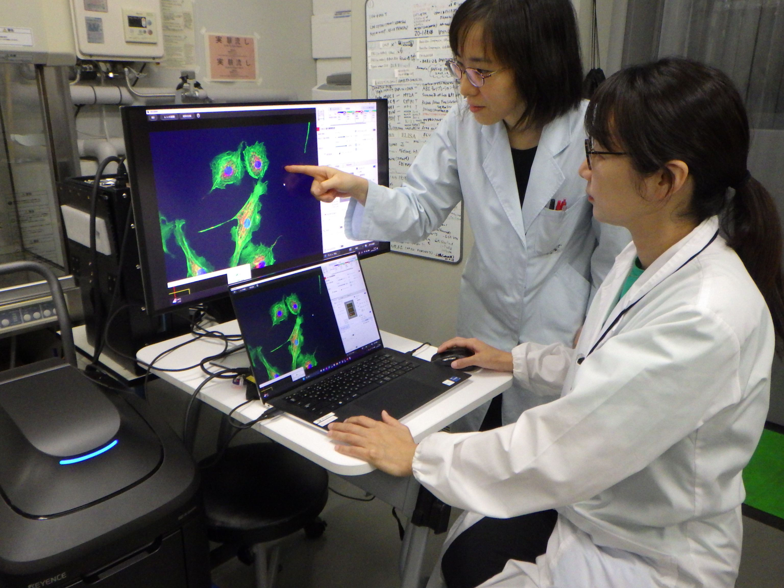 近年、気管支喘息、鼻炎、アトピー性皮膚炎、食物アレルギーといった何れかのアレルギー疾患患者が増加している。アレルギーは、遺伝的要因でなりやすさが決まり、その上に環境要因が加わることで、発症したり悪化したりする。環境要因としては、居住環境、食環境、衛生環境、水・大気・土壌など様々なものが考えられ、身近な化学物質は増加しているといえる。研究では特に空気中の微小な粒子状物質に着目して健康影響を調べている。粒径が10㎛より小さくなると肺の中に入り、呼吸器疾患に悪影響があるといわれている。写真は実験風景。