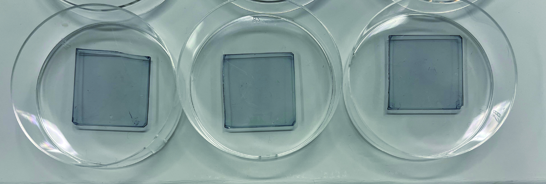 有機電気化学トランジスタ（OECT）の高機能化を目指し、異なる特性を持つ2種類の高分子材料に架橋剤を適切に組み合わせたポリマーブレンド膜を開発した。OECTの活性層には、電子に加えてイオンも透過可能な構造が求められる。本研究では、ブレンド膜中における各成分の“混ざり方”に着目し、自然と望ましいナノ構造が形成される手法を確立した。