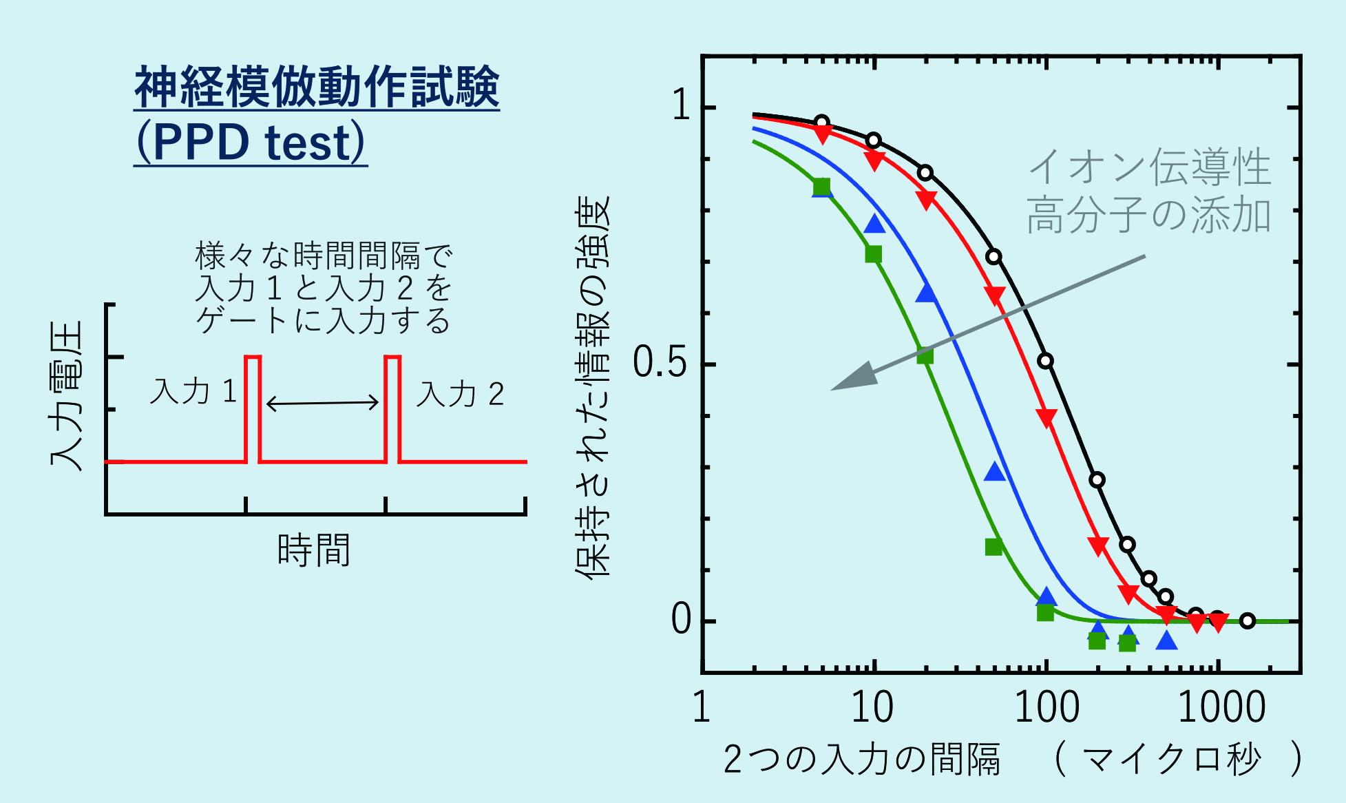 本研究では、トランジスタ構造を用い、ゲート電極に入力パルスを加え、ドレインからの出力電流の変化を観測することで、入力頻度と出力応答の関係を評価した。その結果、入力パルスの頻度に応じて出力電流の大きさが変化することを確認し、シナプス可塑性を模倣した応答が得られた。また、従来の素子と比較して約5倍の高速動作を達成し、高性能な神経模倣素子の実現に成功した。