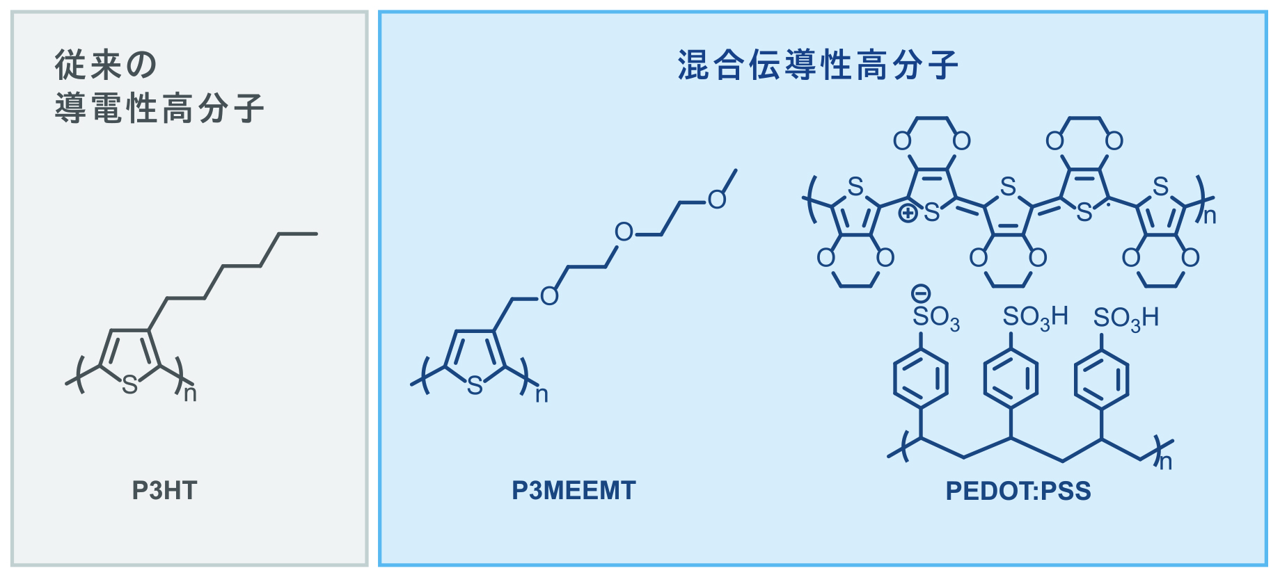 一般的にプラスチックは電気を通さないが、ポリアセチレンやポリチオフェンに代表される導電性高分子は電子を輸送する性質をもち、有機エレクトロニクス分野で注目されてきた。近年では、電子に加えてイオンも輸送できる「混合伝導性高分子」が開発されており、生体とのインターフェース材料として特に有望視されている。 柔軟性や水分中での安定性と特性から、混合伝導性高分子は、脳や神経の電気活動を模倣・記録・制御する神経模倣デバイスや、生体信号を高感度に検出するバイオセンサの構成要素として多方面での応用が期待されている。