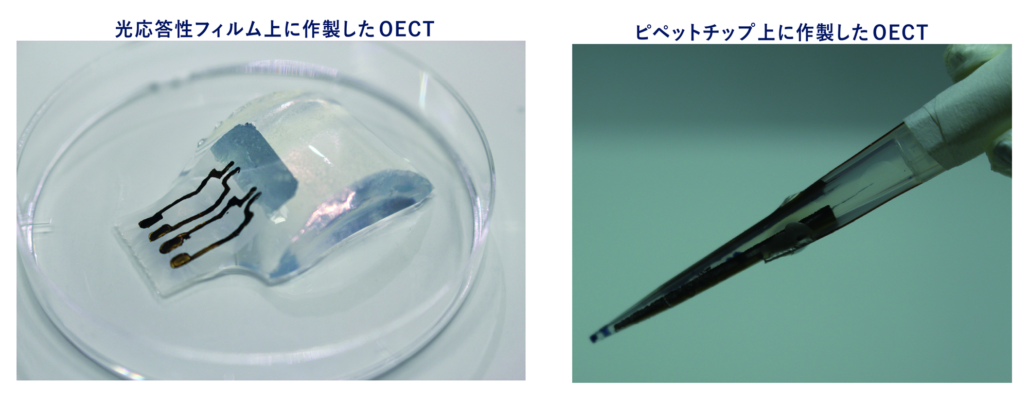 有機電気化学トランジスタ（OECT）をバイオ応用へ展開するには、柔軟なフィルムや3Dプリンタによる立体造形物など、多様な基材上への素子作製技術が必要となる。本研究では、OECTの高機能化を目的として、成膜プロセスに着目し、さまざまな湿式成膜技術の開発を行った。