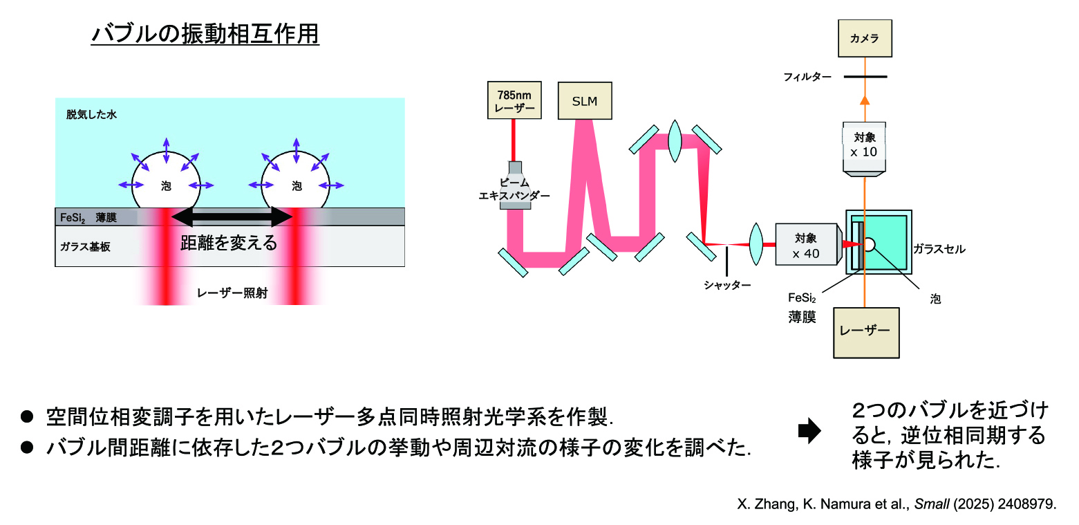 バブル間相互作用実験の概要。泡を増やした実験も行っている。SLM（空間位相変調器）によって、薄膜上に2つともの加熱点で泡ができるくらいの強度で当てる。この時、レーザーがあたっている2点では、水が蒸発して泡が大きくなり、気相が表面の厚くなった部分を覆うことで、熱が水の方に伝わらなくなり、しぼむ。これを繰り返すことで振動が起こる。この、振動する2つの泡を並べて、2つの泡の動きの分析を進めている。