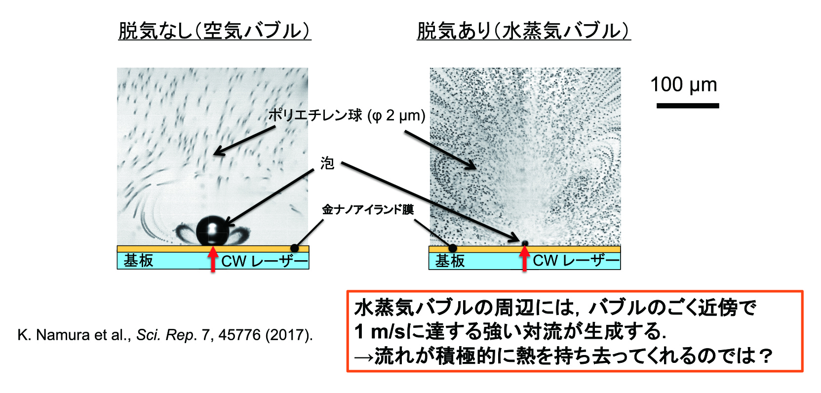 研究では、脱気した水蒸気バブルが、毎秒10の5乗もの数の自励振動をしていることを発見した。この振動とマランゴニ力の両方の効果で小さな泡はさらに強い流れを生み出す。画像は「脱気なし」に比べた「脱気あり」のバブル周辺対流の増強。