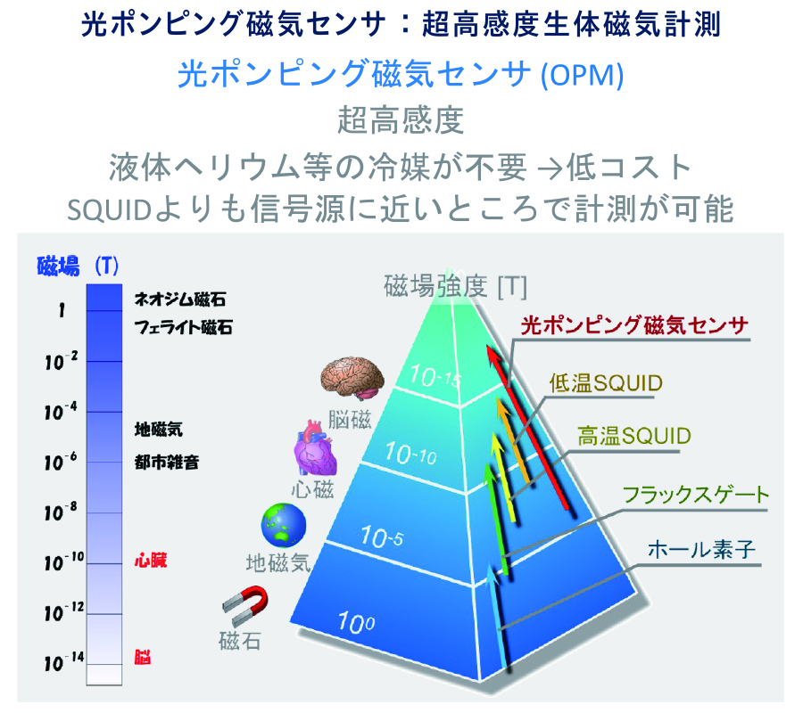 人間の脳や心臓の活動に伴って発せられる磁気は非常に微弱であり、従来は液体ヘリウムなどの大掛かりな冷却装置を伴う巨大な機械が必要だった。私たちが開発を進める「光ポンピング磁気センサ（OPM）」は、常温で動作し、冷却材を一切必要としない超高感度センサーである。生体が発する微弱な磁気を、常温で手軽に測れる。