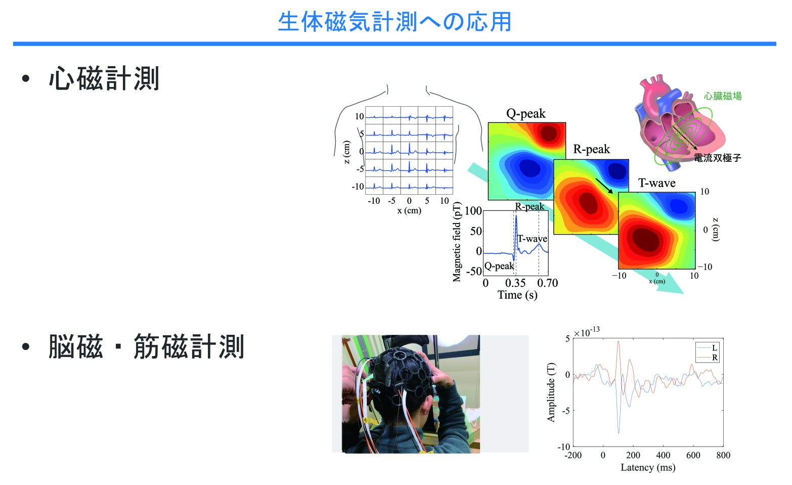 センサーが信号を読み取る際の間隔（時間分解能）には物理的な限界があるが、私たちは「統計的信号処理」の技術を用いてこれを克服している。磁場が変化する物理法則を確率的な数式として定式化し、センサーの観測データから背後にある高速で微細な磁場変化を高精度に推論する。