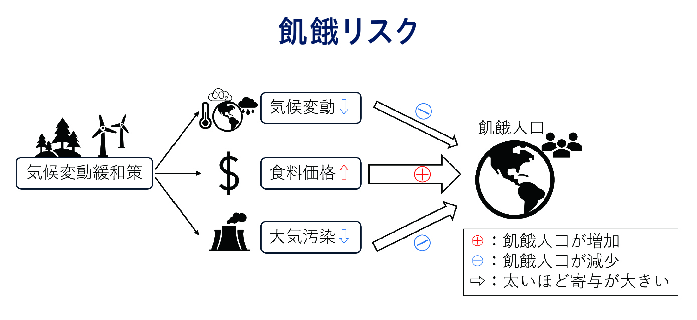 気候変動緩和策が将来の飢餓リスクに与える影響についても、包括的に評価している。これまで、気候変動によって作物収量が低下することが懸念されるため、緩和策には、それを回避し飢餓のリスクを下げる効果があるといわれてきた。一方で、バイオマスによる農地利用等により食料生産が抑えられ、飢餓のリスクを上昇させることも指摘されている。さらに、大気汚染が軽減されることで、作物収量が増え、飢餓リスクが減少することも期待されるが、この効果はまだ十分に評価がされてこなかった。
