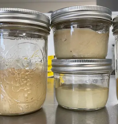 Four glass jars with metal lids filled light creamy Hash Rosin that's terps have separated to the top, placed on a countertop.