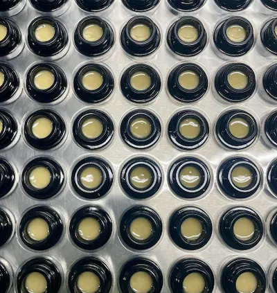 Close-up of multiple small black containers filled with light yellow rosin arranged in a grid.