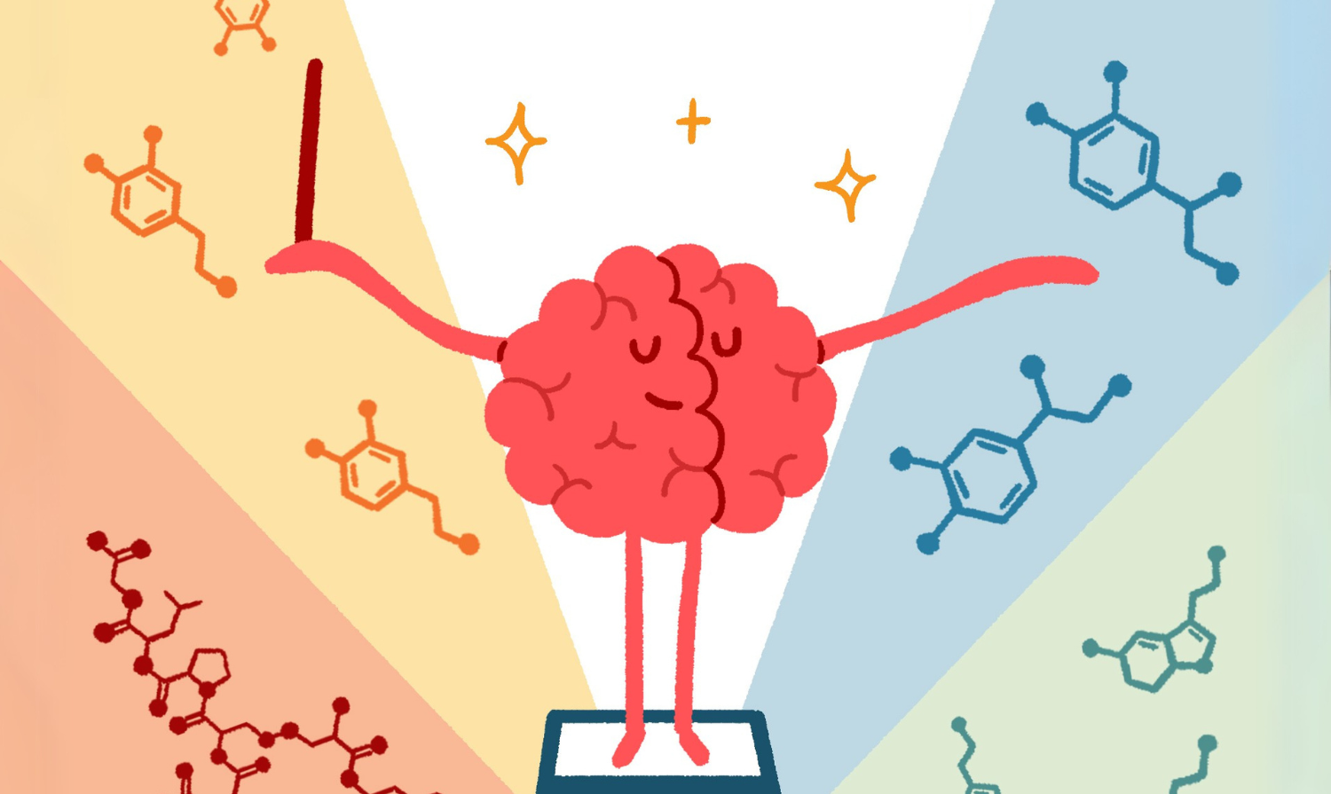 The Psychology of Video: Why Visual Storytelling Captures the Brain