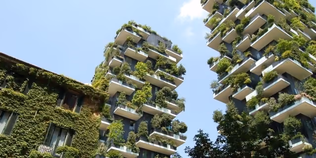 3 environmental benefits of installing a green roof