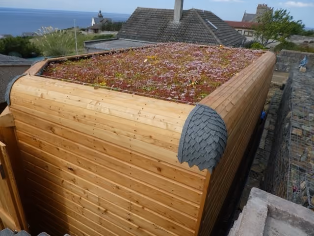 Inventive Ways to Use a Green Roof