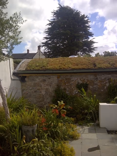 The Best Locations for a Green Roof