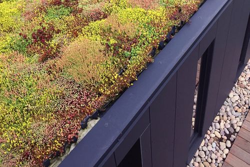 How GrufeKit Green Roofs can help with Temperature Regulation