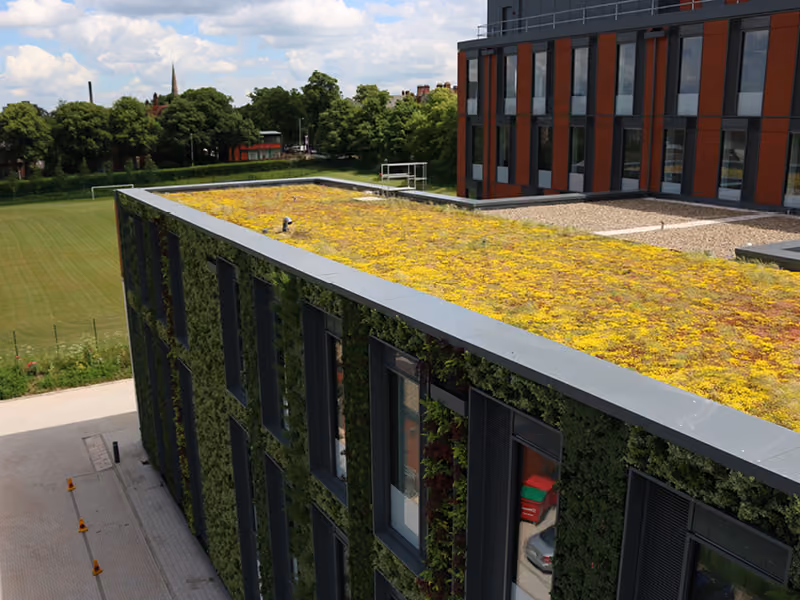 University of Leicester