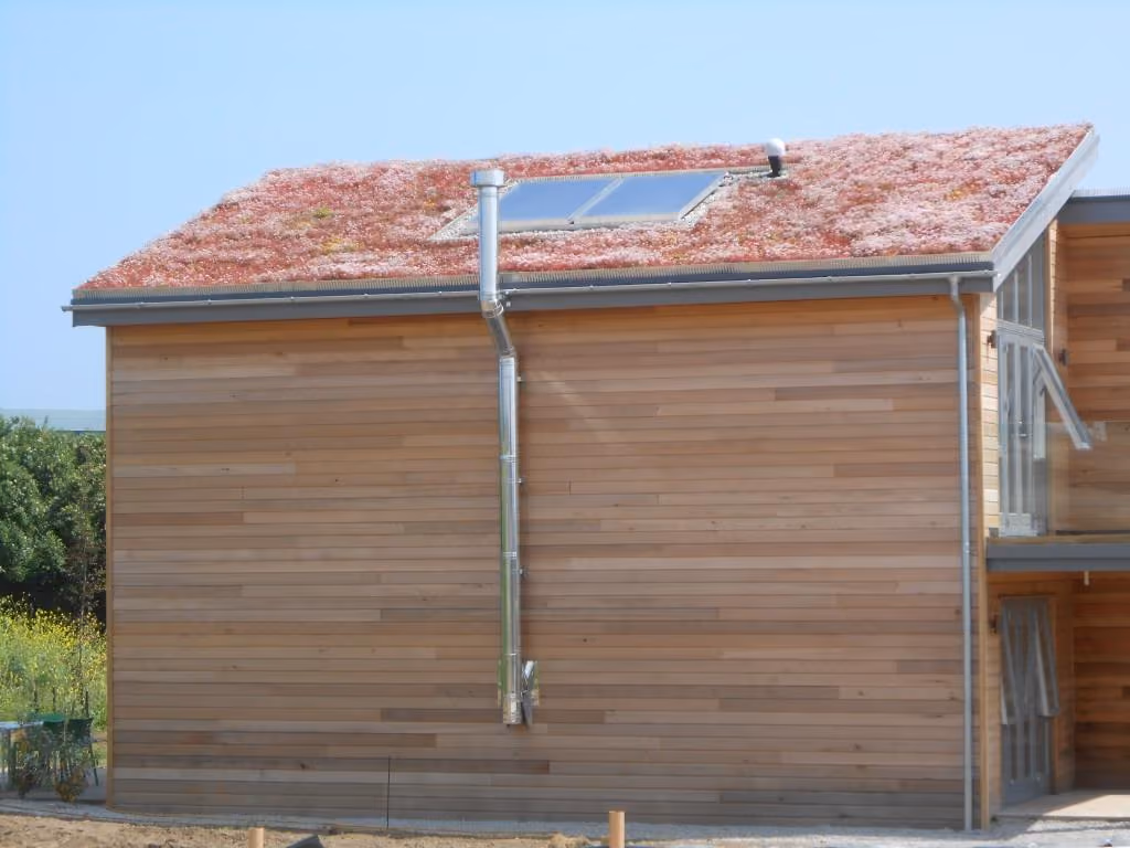 How a GrufeKit Green Roof Can Improve Biodiversity