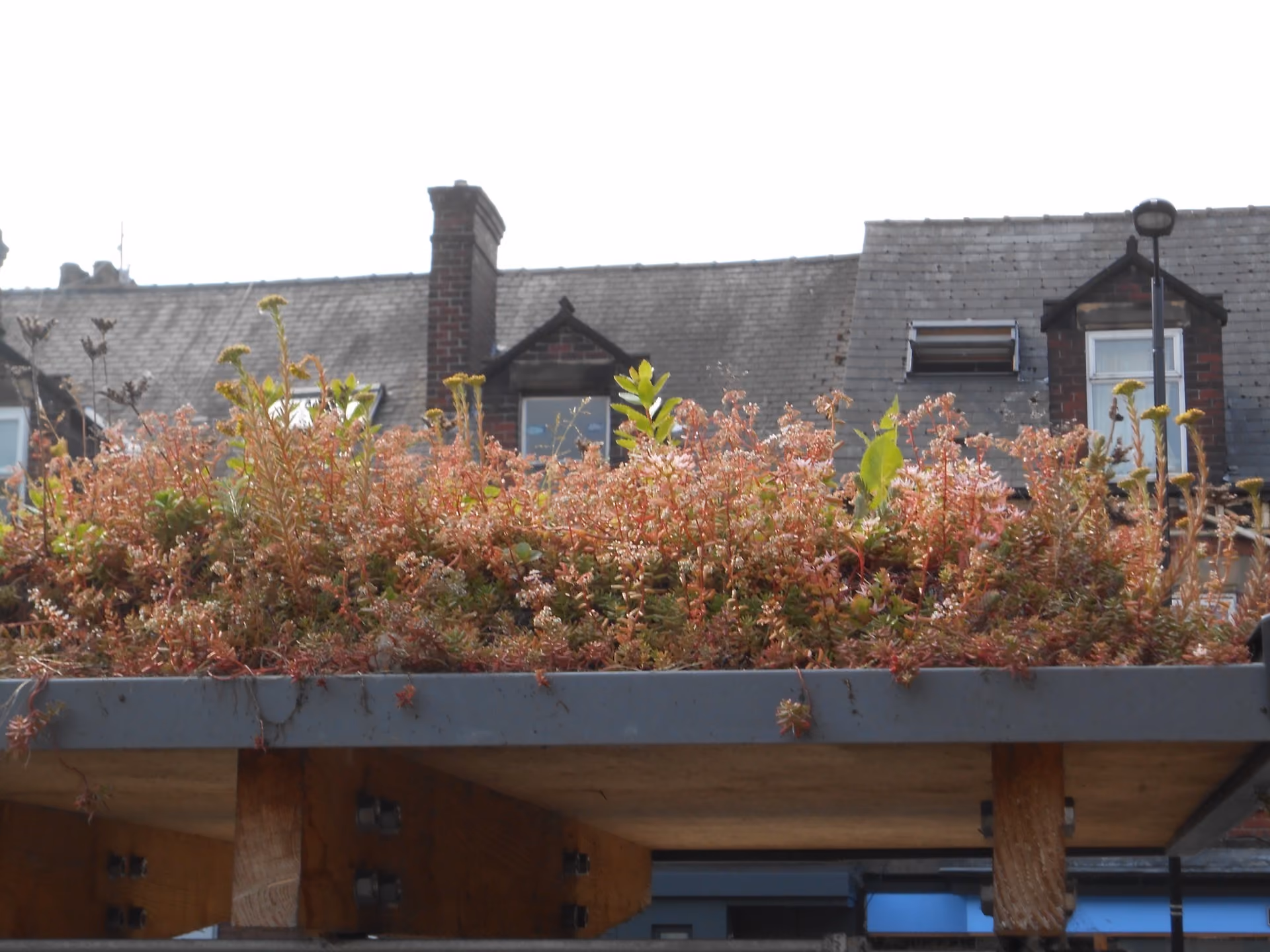 The Increase in Demand of Green Roofs and its Significance in the Urban Environment
