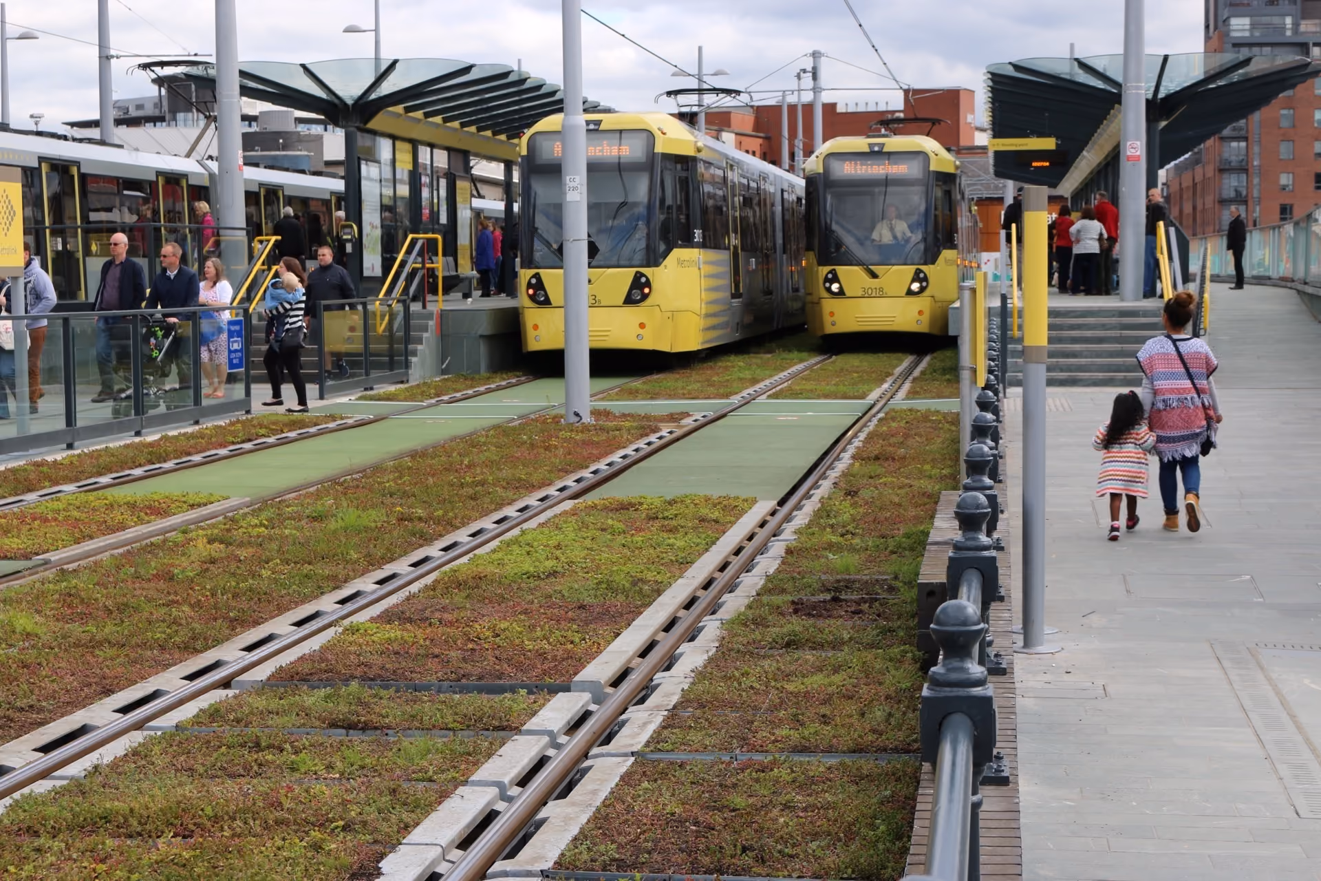 Top 3 Innovative Uses for a Green Roof