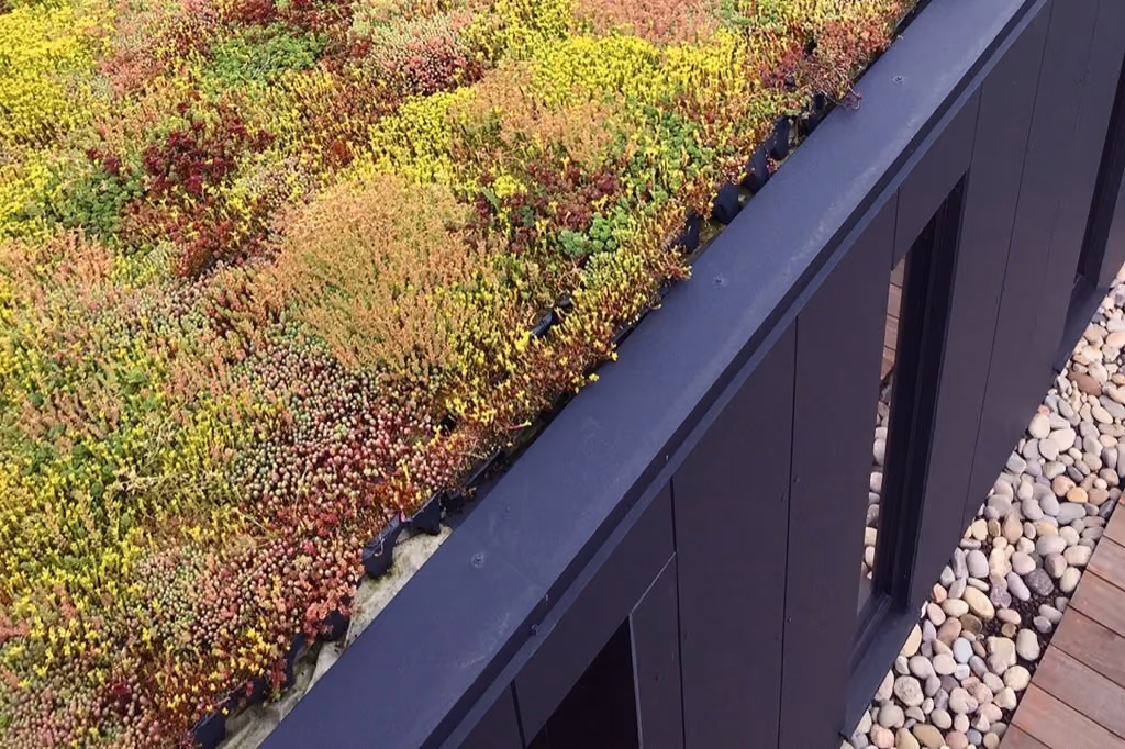 Maximising Your Home's Potential: How a Green Roof Can Increase Property Value