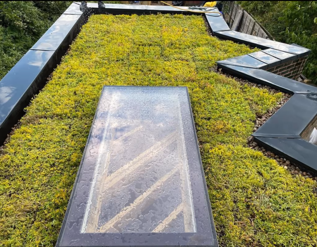 Green Roofs: Enhancing Biodiversity and Meeting the Biodiversity Net Gain Mandate
