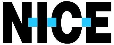 nice-web-logo.jpeg