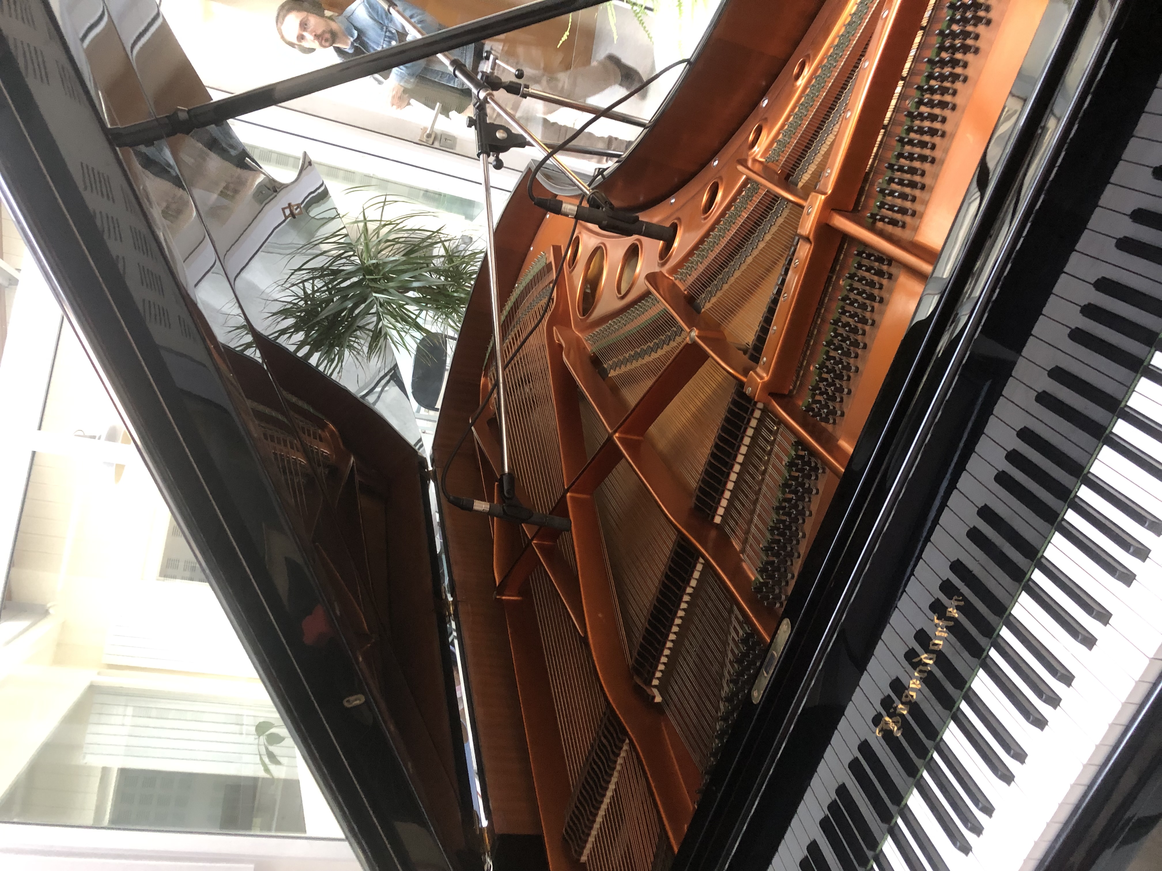 Piano Bösendorfer — table d'harmonie