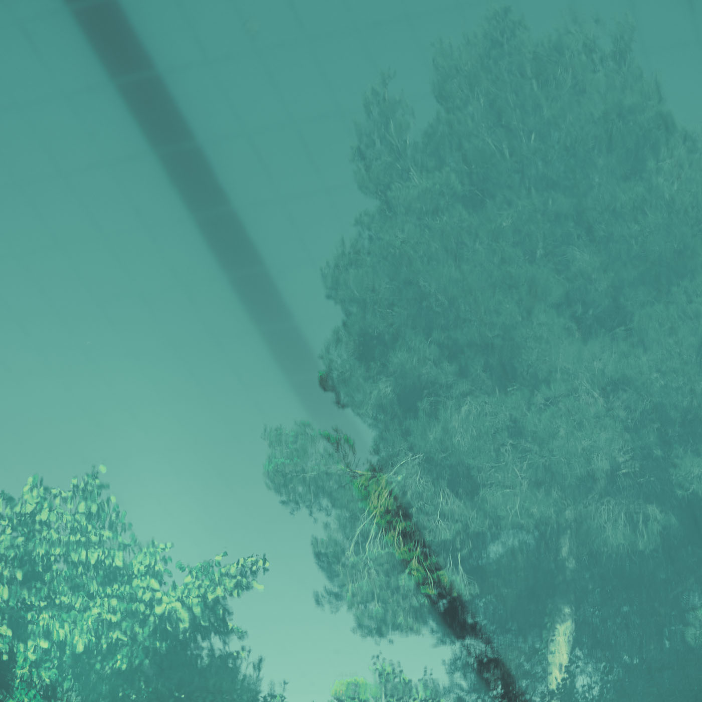 Imagen del díptico Oído del proyecto Inconsciente de Elisa Blaz. Muestra el reflejo del cielo en una piscina.