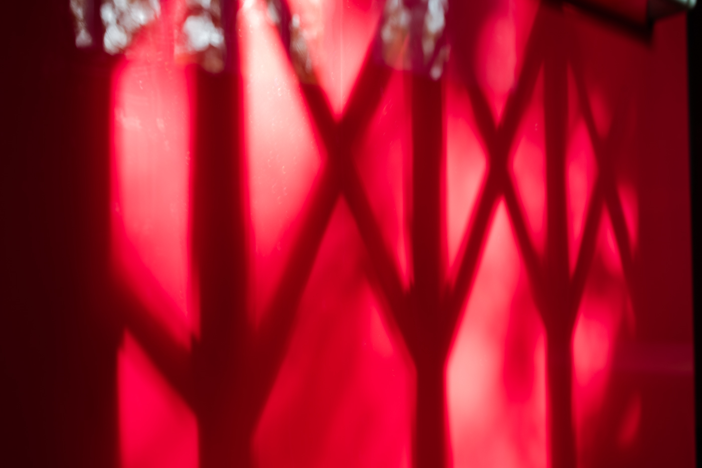Sombra de un patrón de celosía proyectada sobre una superficie roja luminosa.