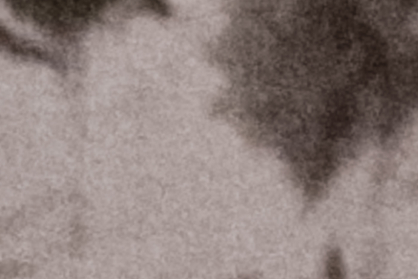 Textura en primer plano de una superficie clara y peluda o lanosa, con áreas más oscuras en sombra.