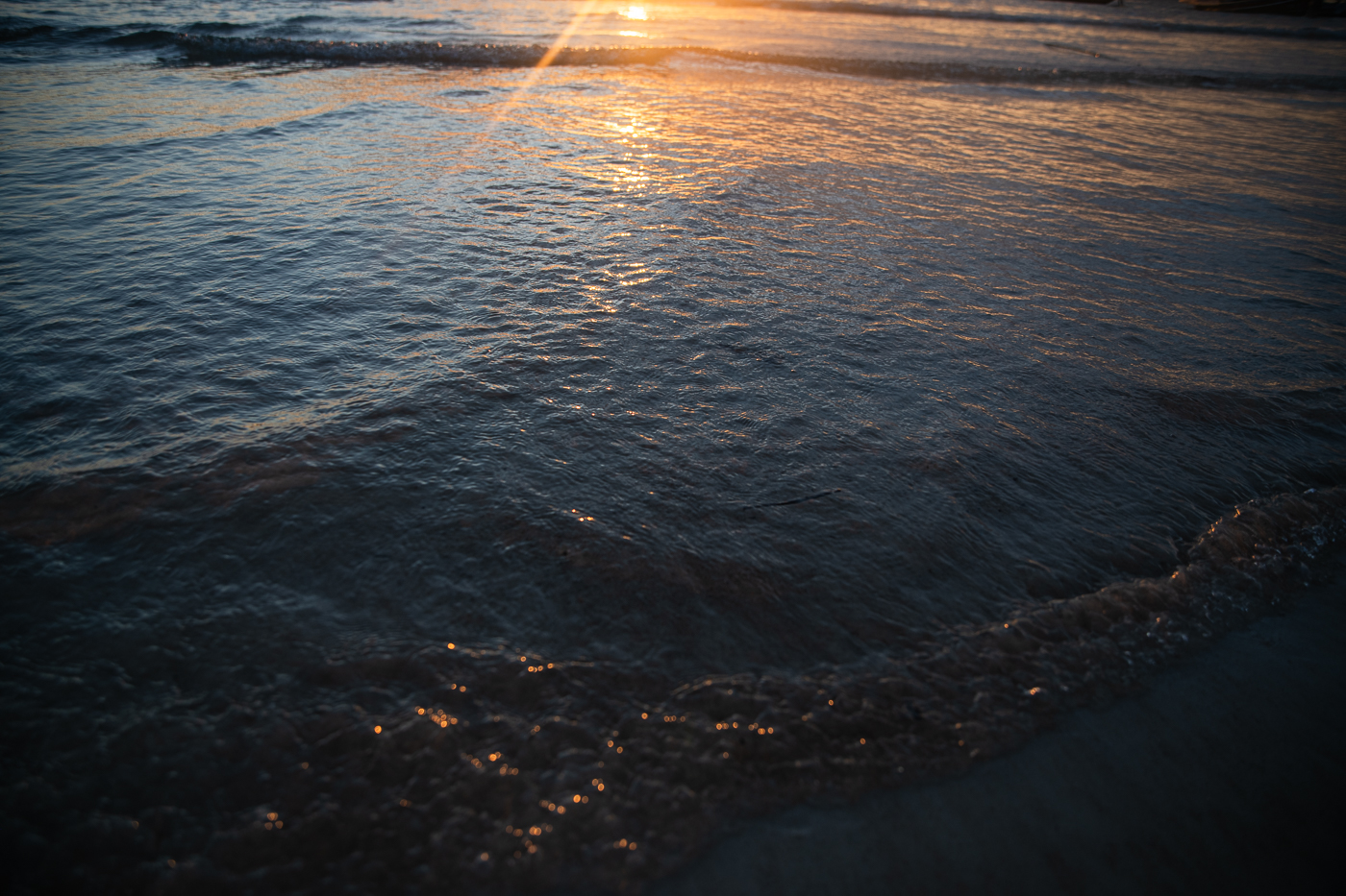 Primer plano de suaves olas del océano reflejando la luz dorada del atardecer en la orilla.