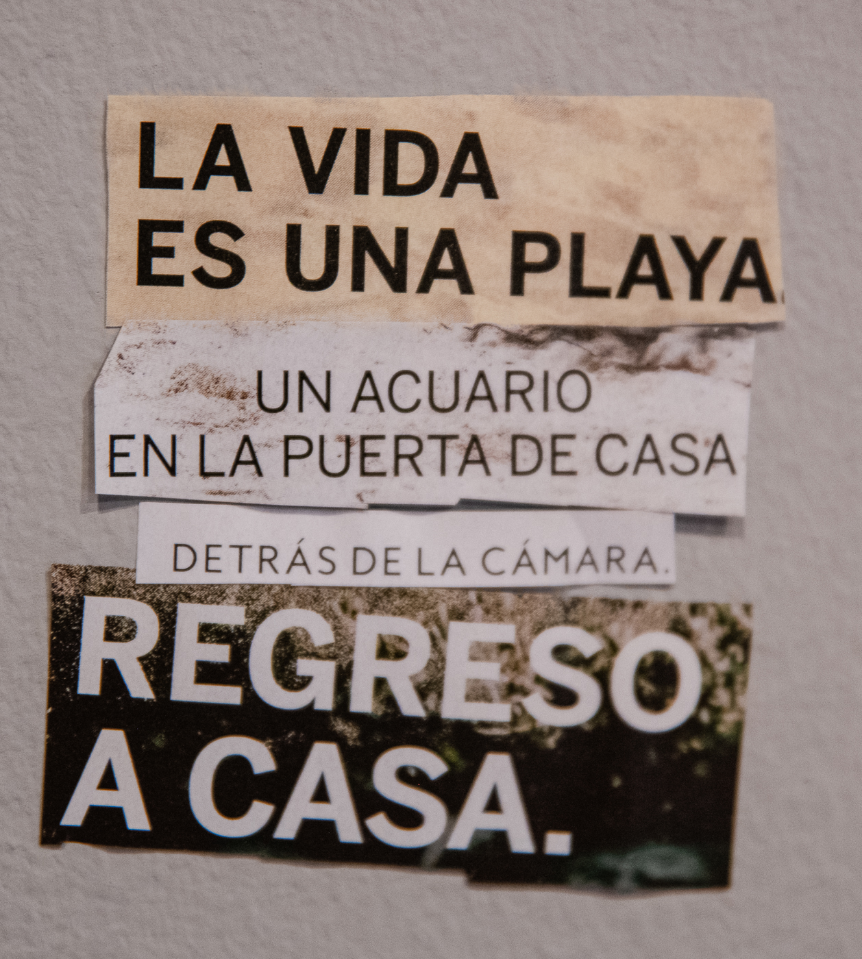 Cuatro tiras de papel rasgadas con texto en español: “LA VIDA ES UNA PLAYA”, “UN ACUARIO EN LA PUERTA DE CASA”, “DETRÁS DE LA CÁMARA.” y “REGRESO A CASA.”